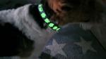 Hundehalsband Nachtleuchtend